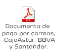 Documento de pago